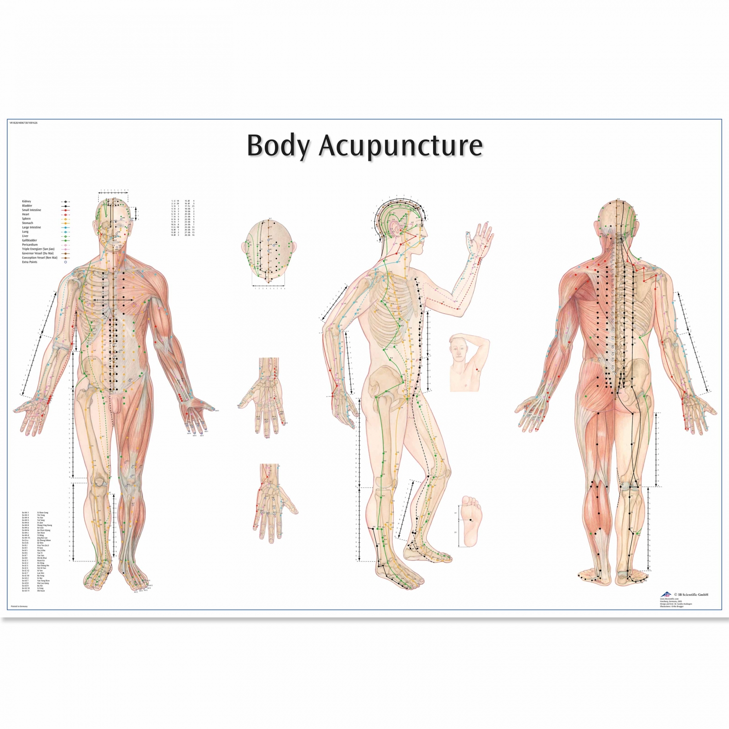Pancarte murale plastifiée Body acupuncture - 68 - 97 cm