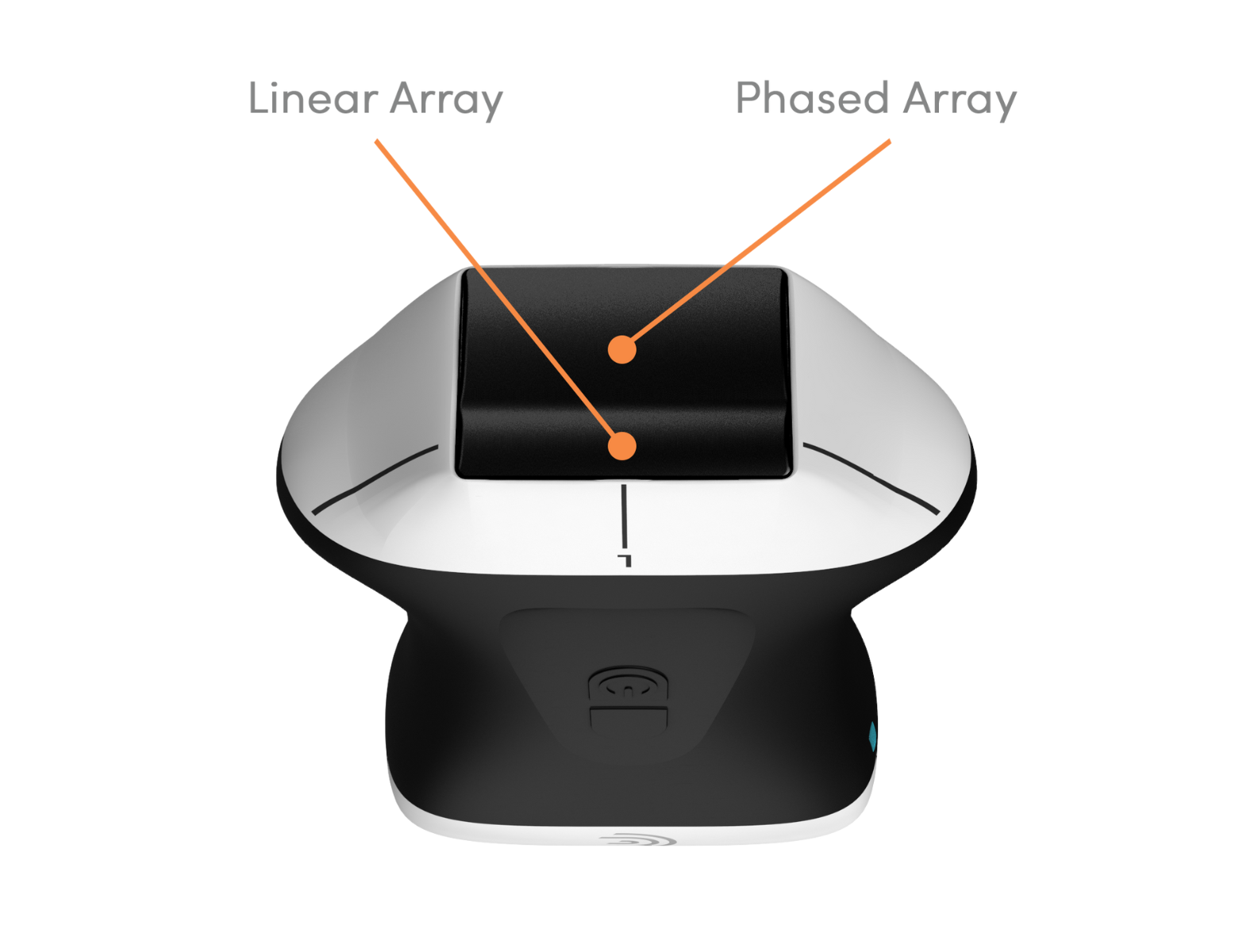 Clarius PAL - appareil d'échographie - Multifonctionnel Dual