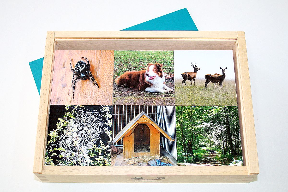 Memory - qù vit l'animal ? petite version